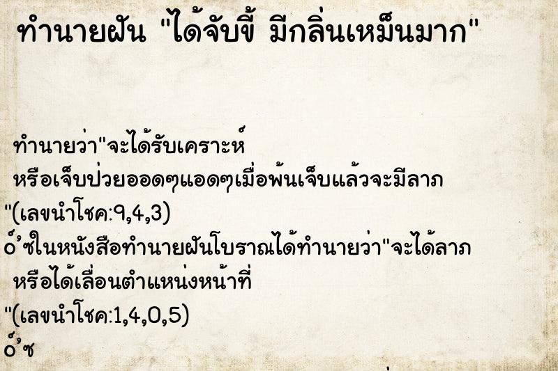 ทำนายฝันทำนายฝันได้จับขี้มีกลิ่นเหม็นมาก